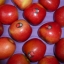 Яблока KORU из Новой Зеландии теперь доступны в Соединенных Штатах.