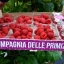 Инвестици в  проект по созданию итальянской ягодной сети 0