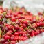 Export shipments of cherries to the Chinese market