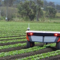 Австралийские ученые испытали робота для прополки растений