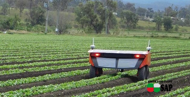 Австралийские ученые испытали робота для прополки растений