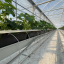 Тунелі та теплиці Progress Tunnels в Україні