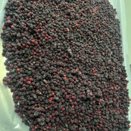 Продам ожину дикорослу, Рівненська обл